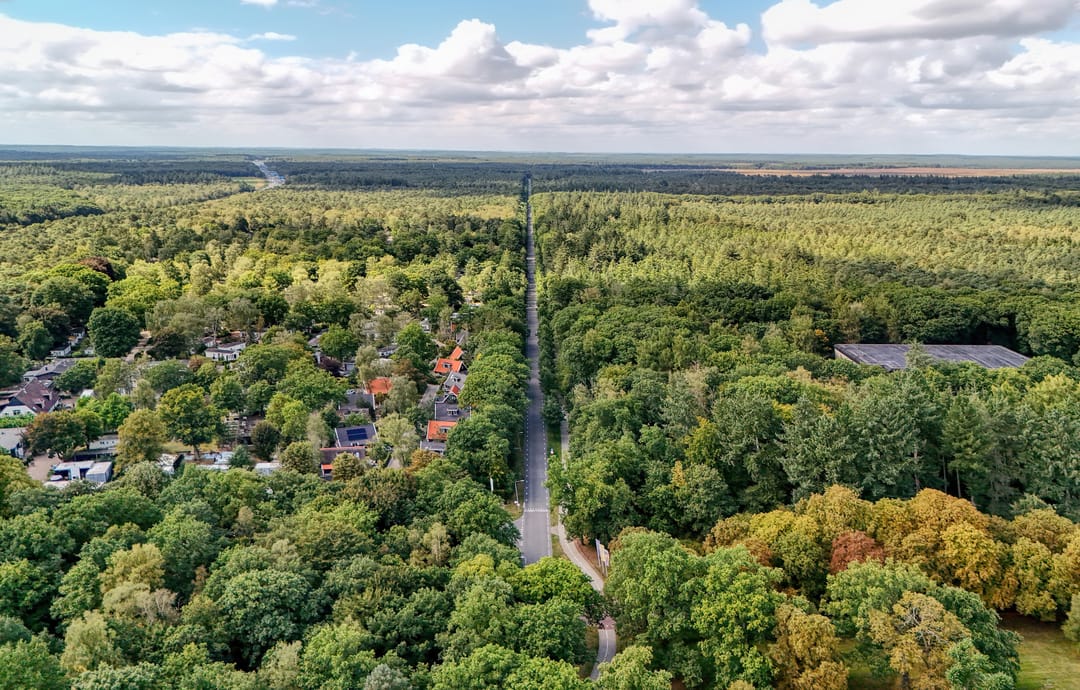 Photo 46 of Koningsweg 15-A