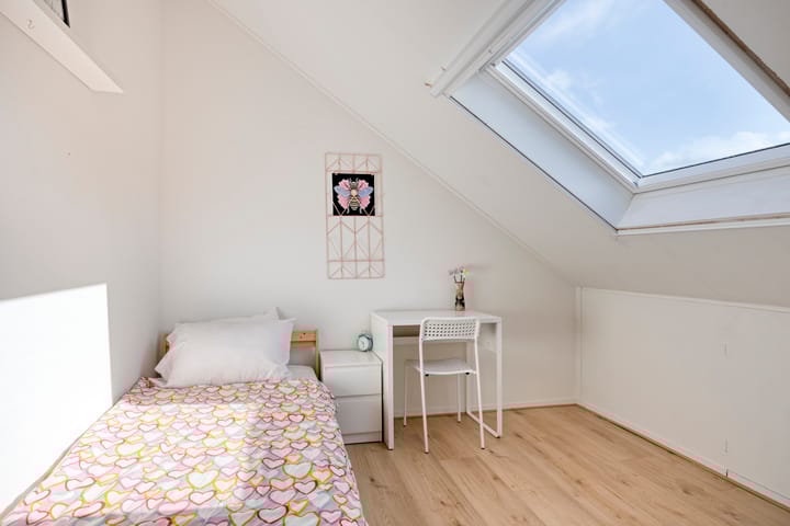 Foto 31 van Nieuwe Tijningen 101