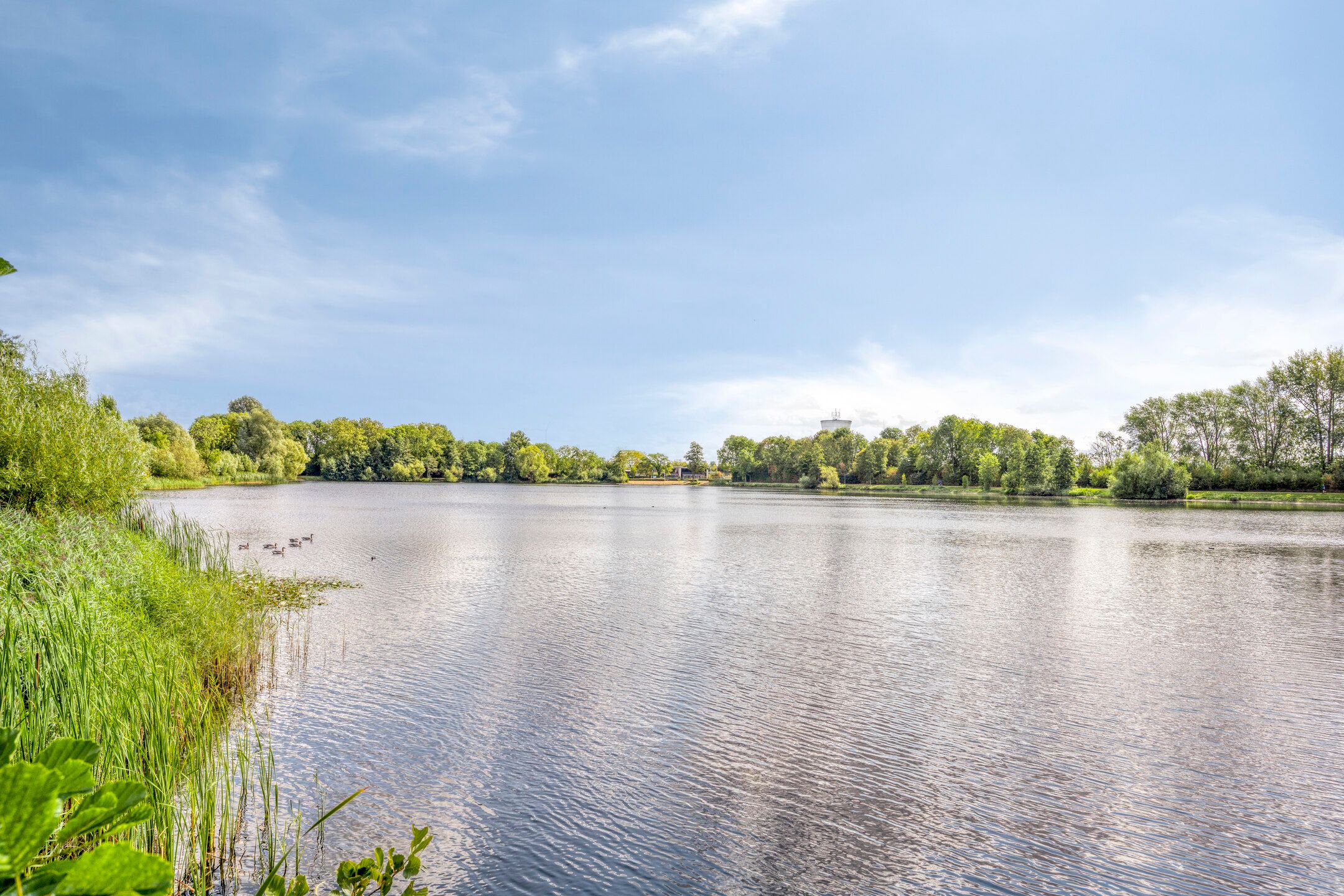 Foto 39 van Nieuwe Tijningen 101