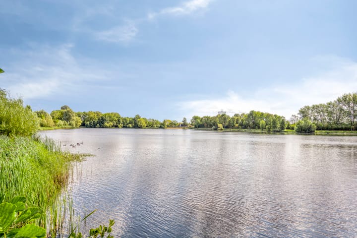 Foto 39 van Nieuwe Tijningen 101