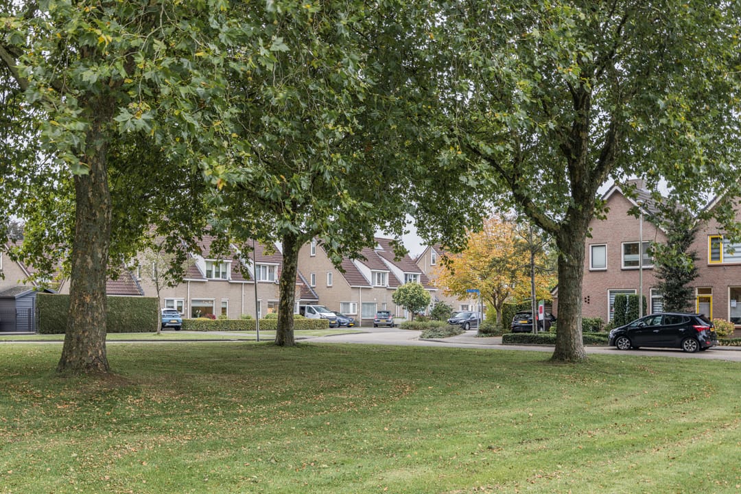 Foto 58 van De Mississippi 4