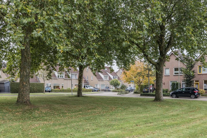 Photo 58 of De Mississippi 4