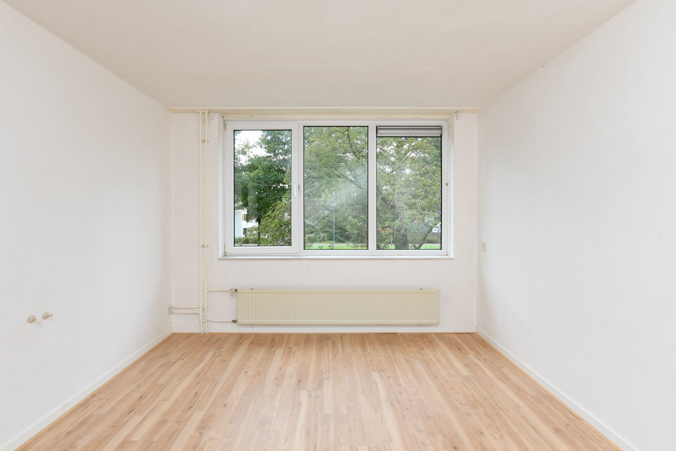 Foto 9 van Atalanta 7