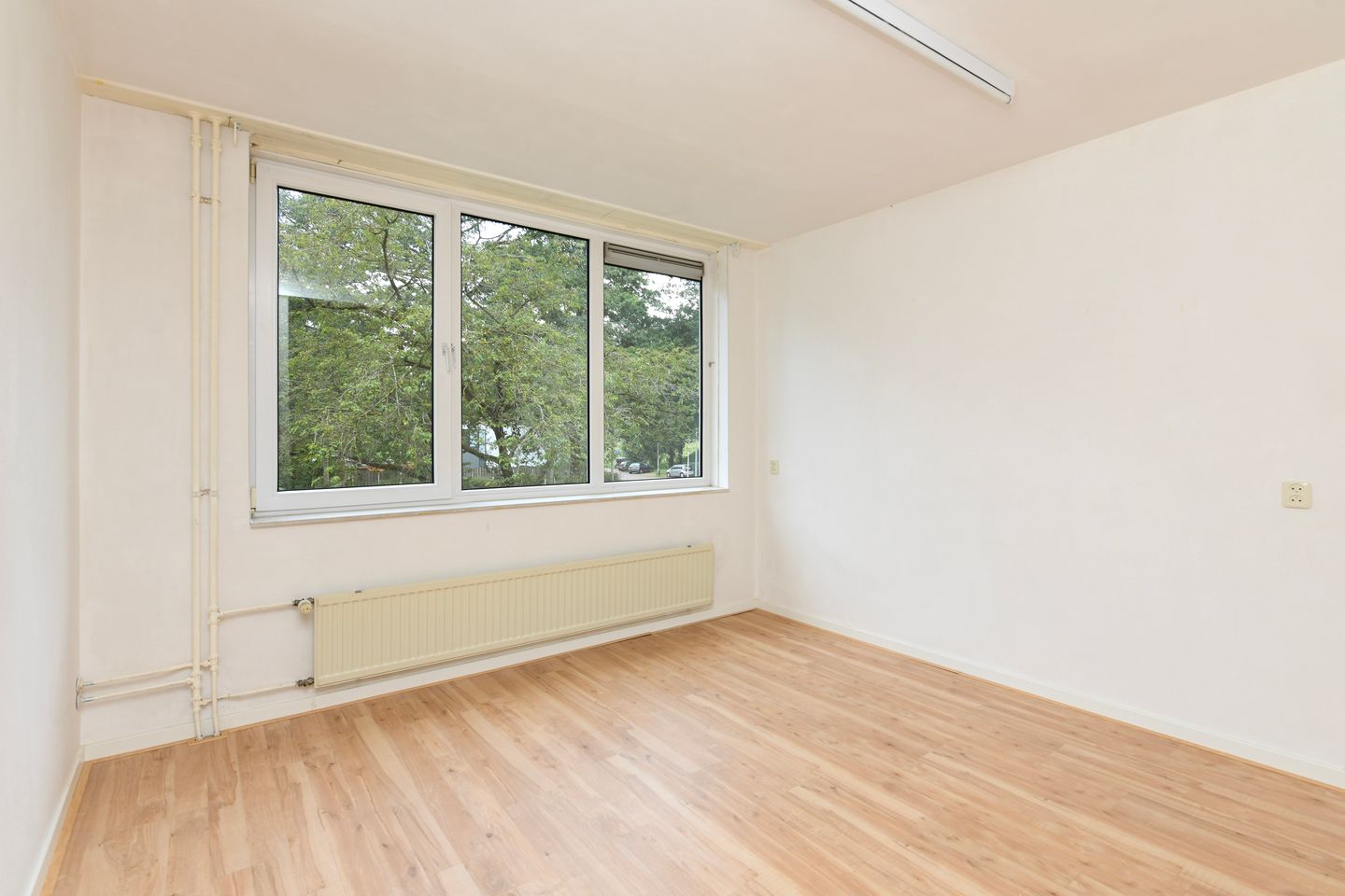 Foto 10 van Atalanta 7