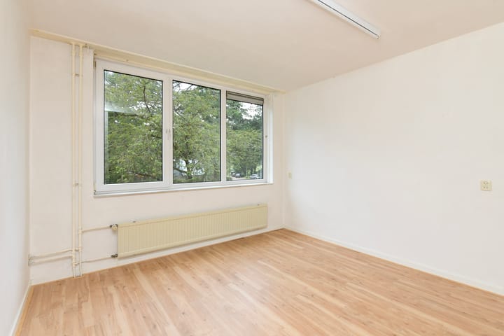 Foto 10 van Atalanta 7