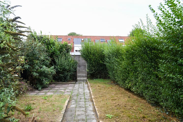 Foto 22 van Atalanta 7