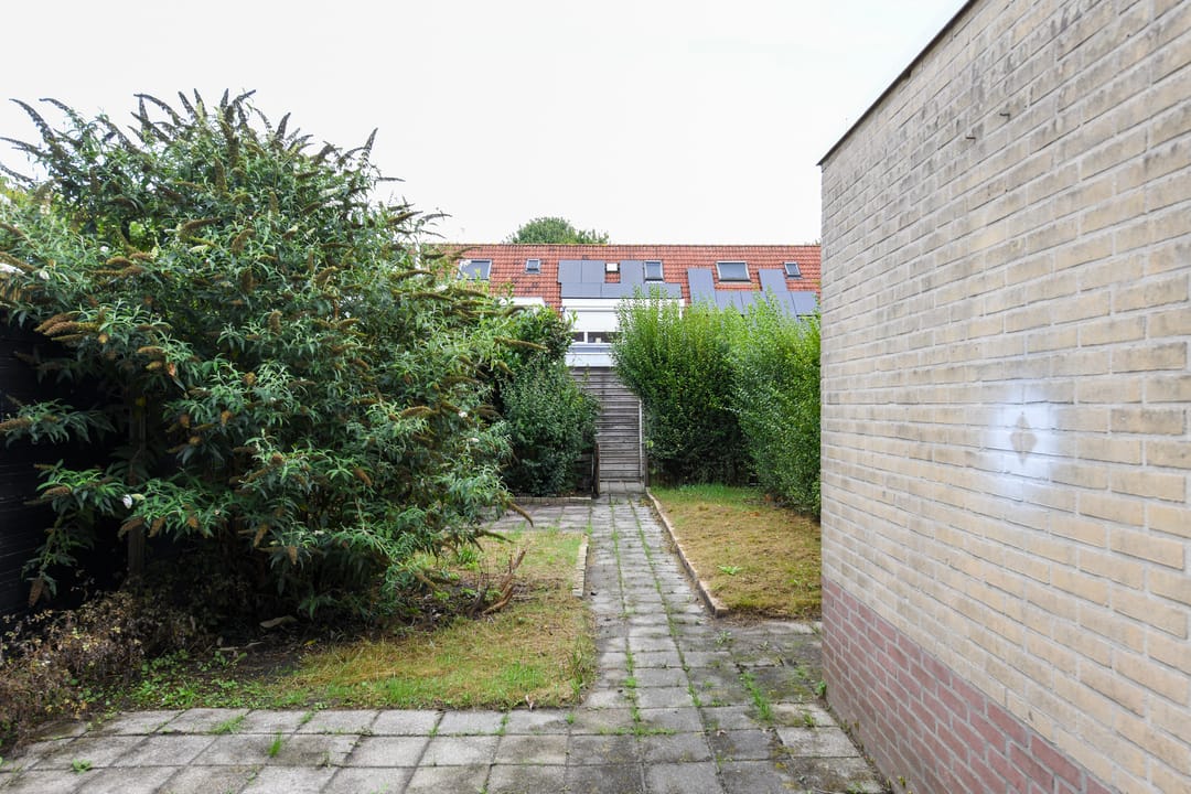 Foto 23 van Atalanta 7