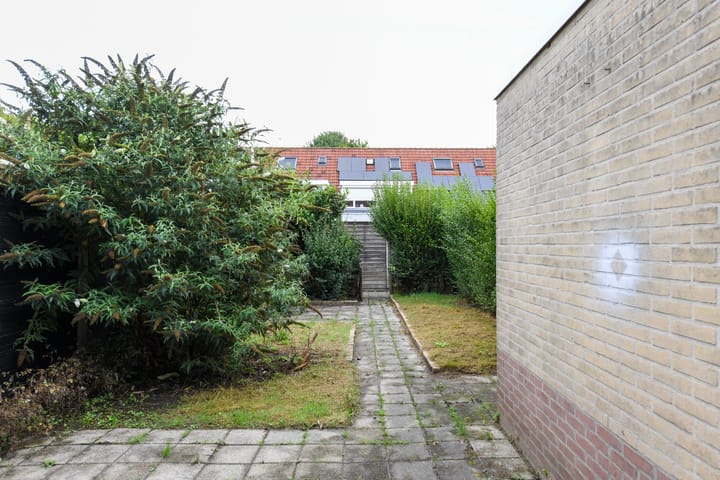 Foto 23 van Atalanta 7