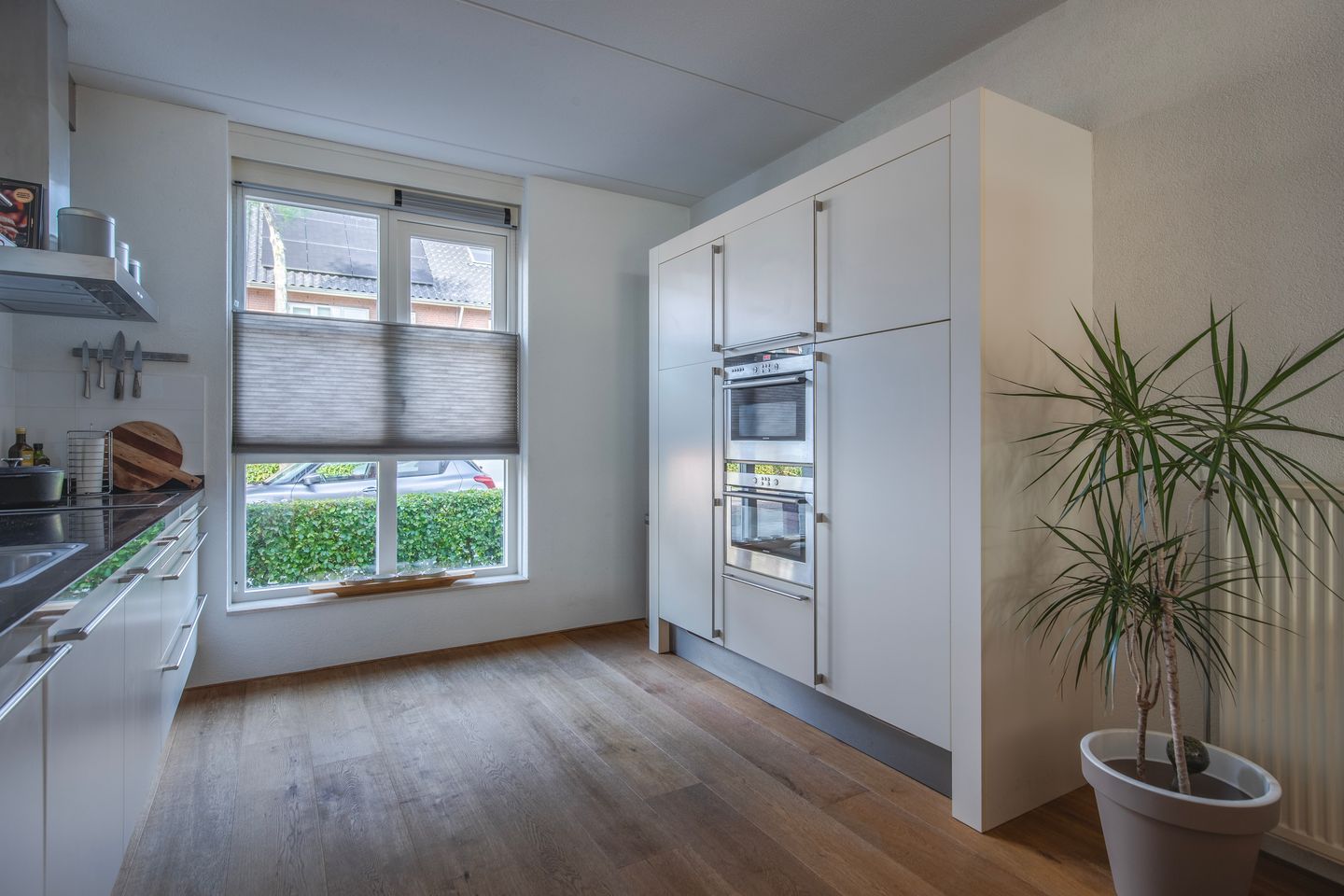 Foto 10 van Donar 20