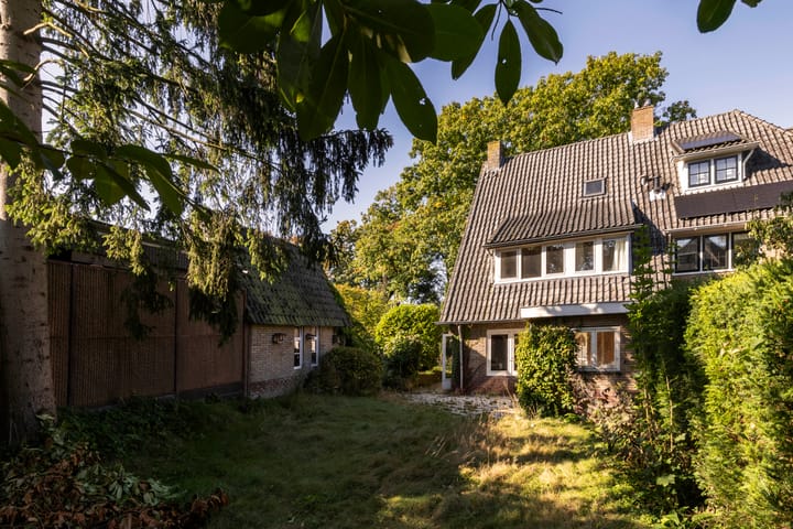 Foto 10 van Schapendrift 2