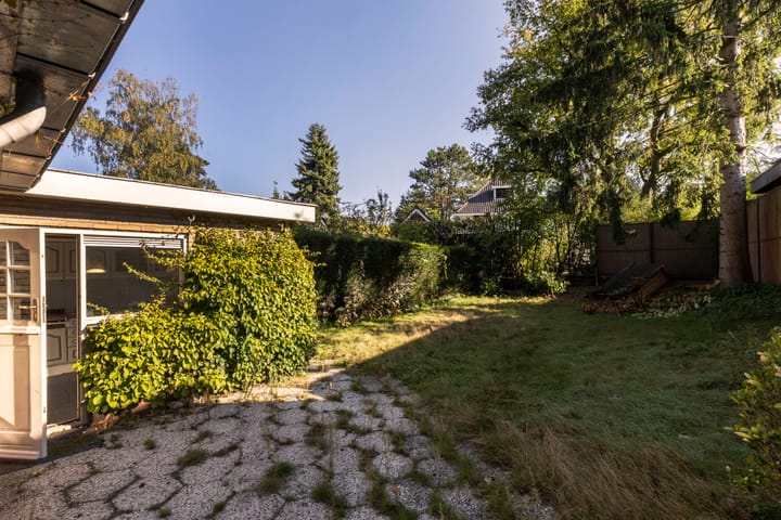 Foto 11 van Schapendrift 2