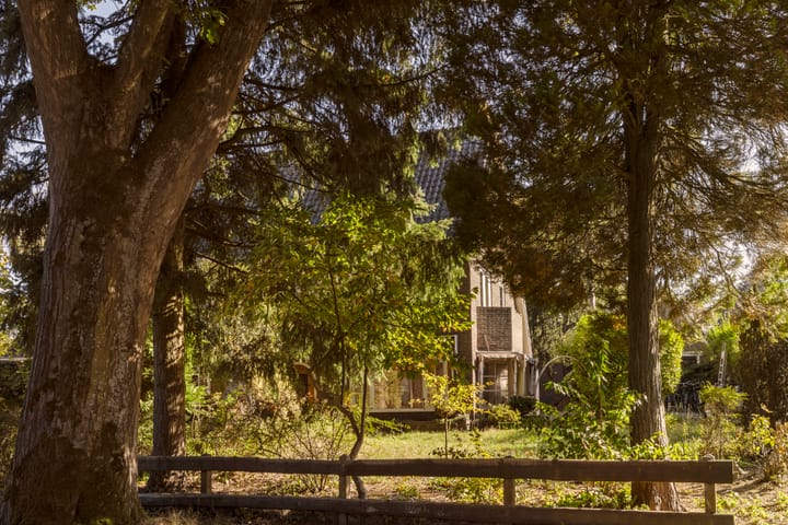 Foto 12 van Schapendrift 2