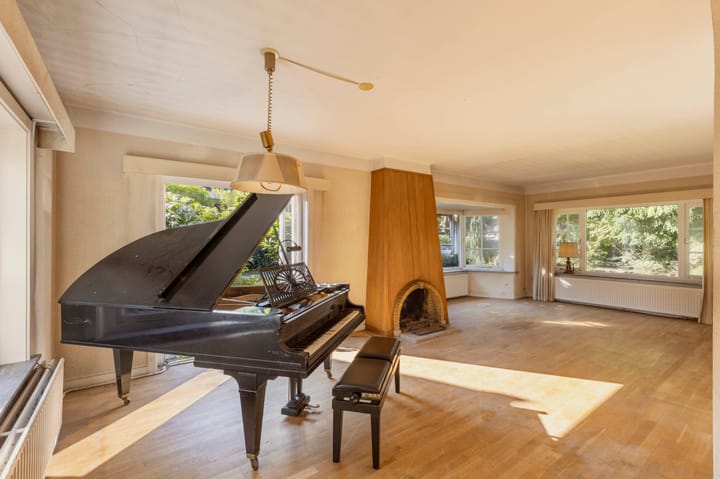 Foto 3 van Schapendrift 2