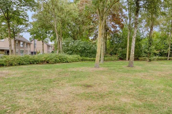 Foto 39 van den Ekker 5