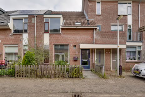 undefined main image