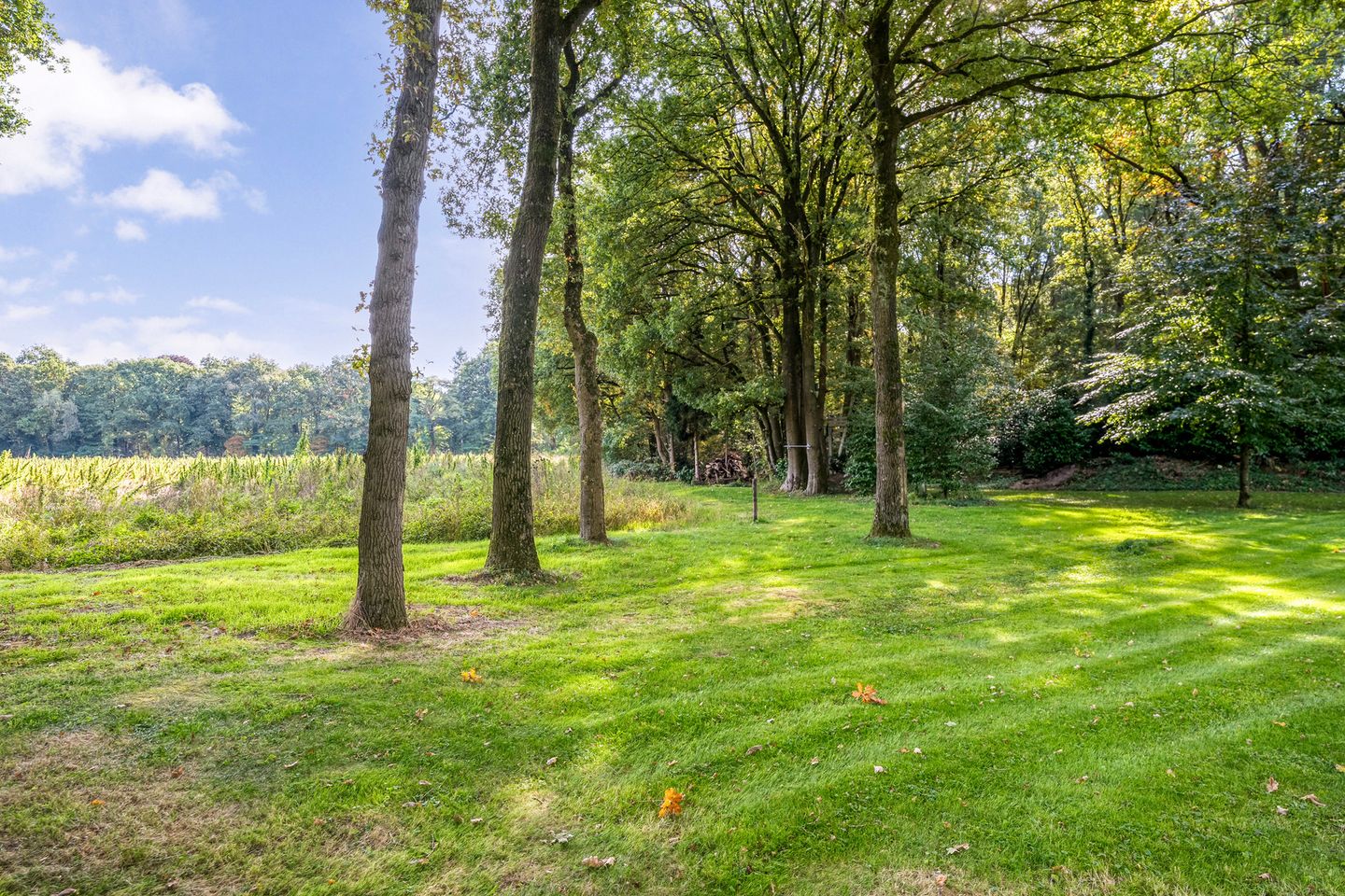 Foto 10 van Fazantenbosweg 4-A