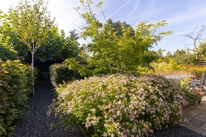 Foto 32 van Waarschap 69