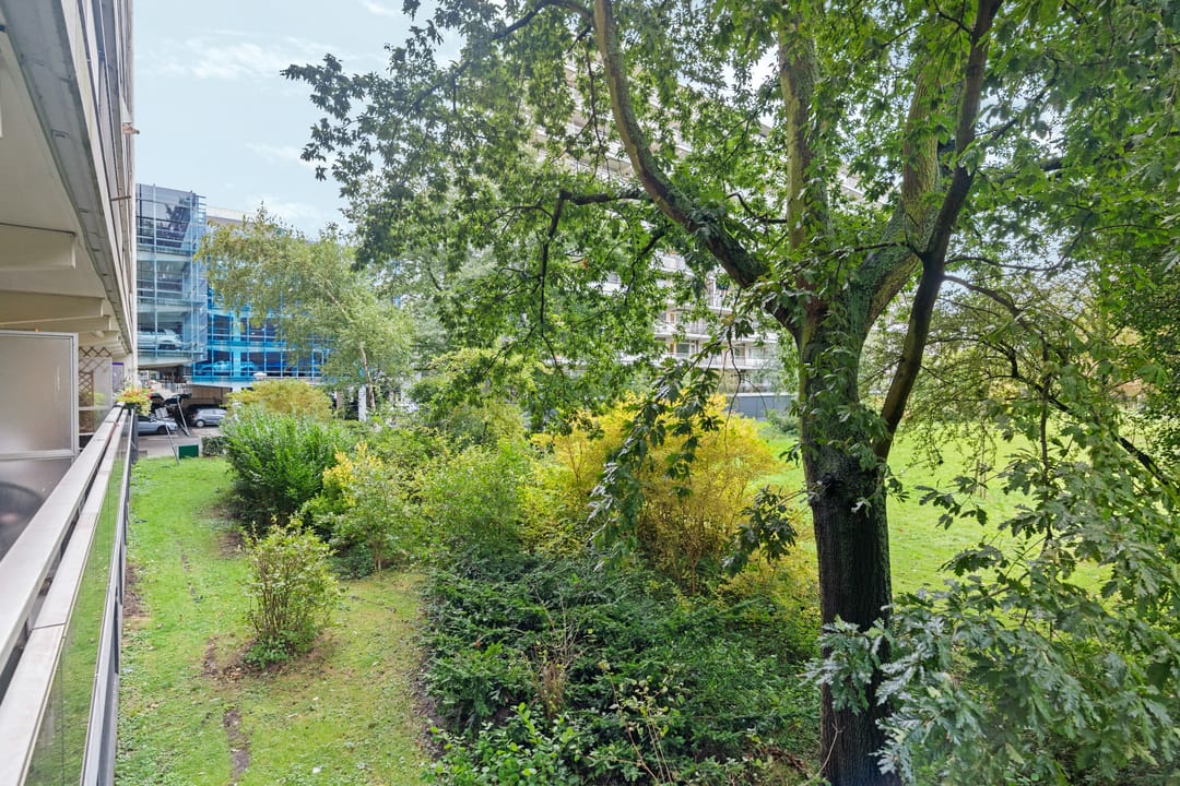 Foto 22 van Bergmolen 4