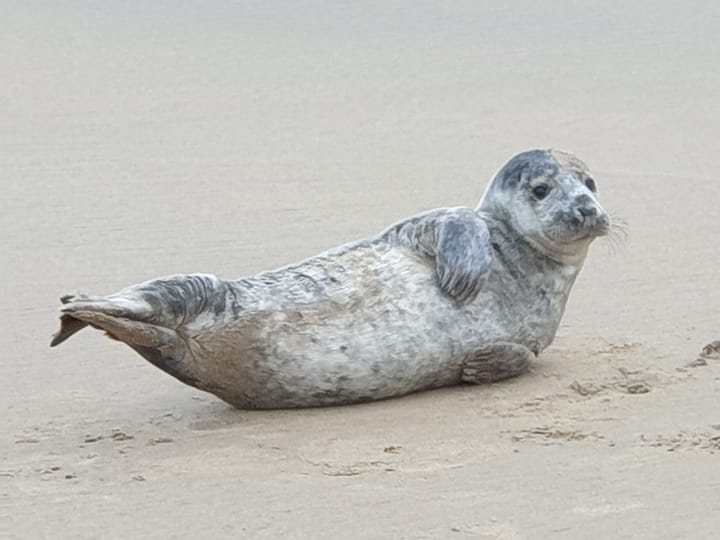 Foto 41 van de Ruyterstraat 4-F4