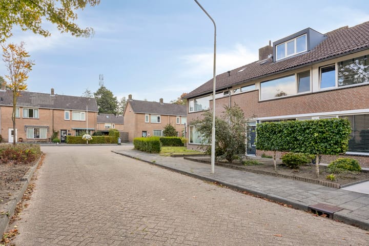 Foto 5 van Boomhouwer 4