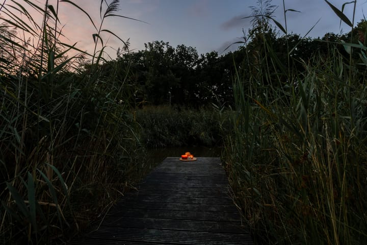 Foto 93 van De Beekjuffer 11