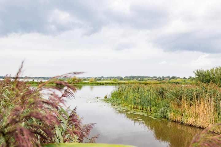 Foto 94 van De Beekjuffer 11