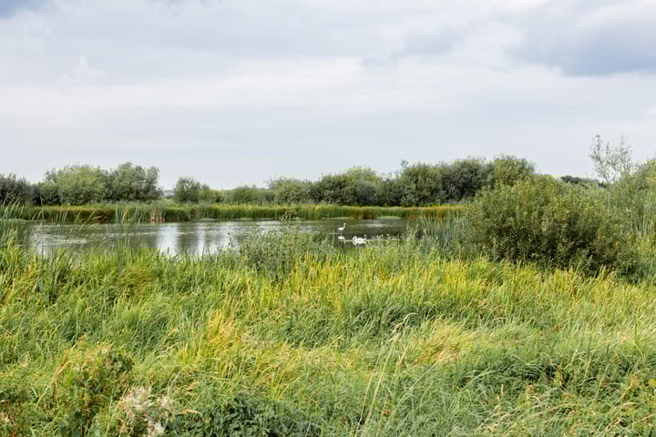 Foto 95 van De Beekjuffer 11