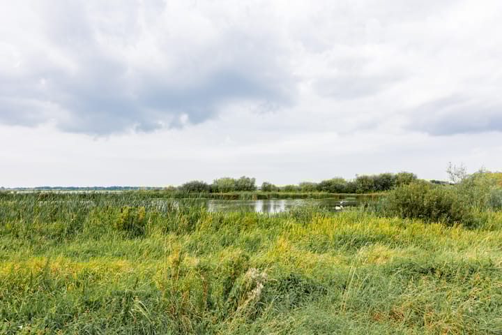 Foto 96 van De Beekjuffer 11