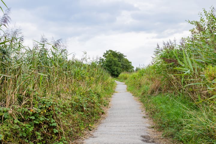 Foto 97 van De Beekjuffer 11