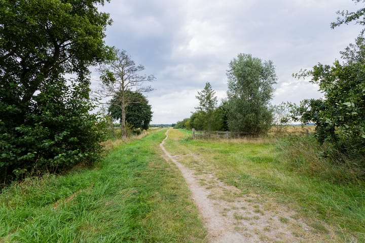 Foto 98 van De Beekjuffer 11