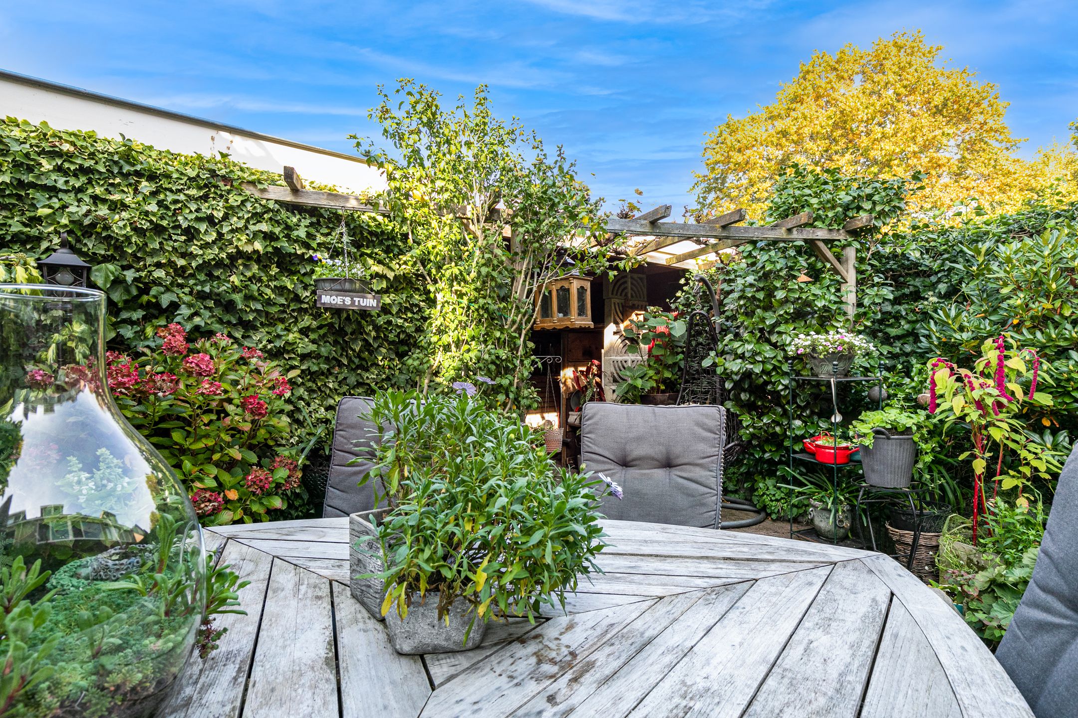 Foto 30 van Havikshorst 21