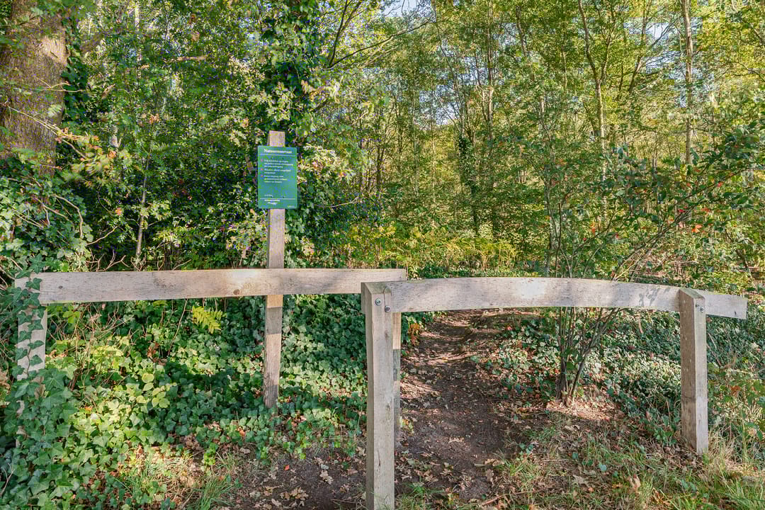 Foto 7 van Steigerwijk 35