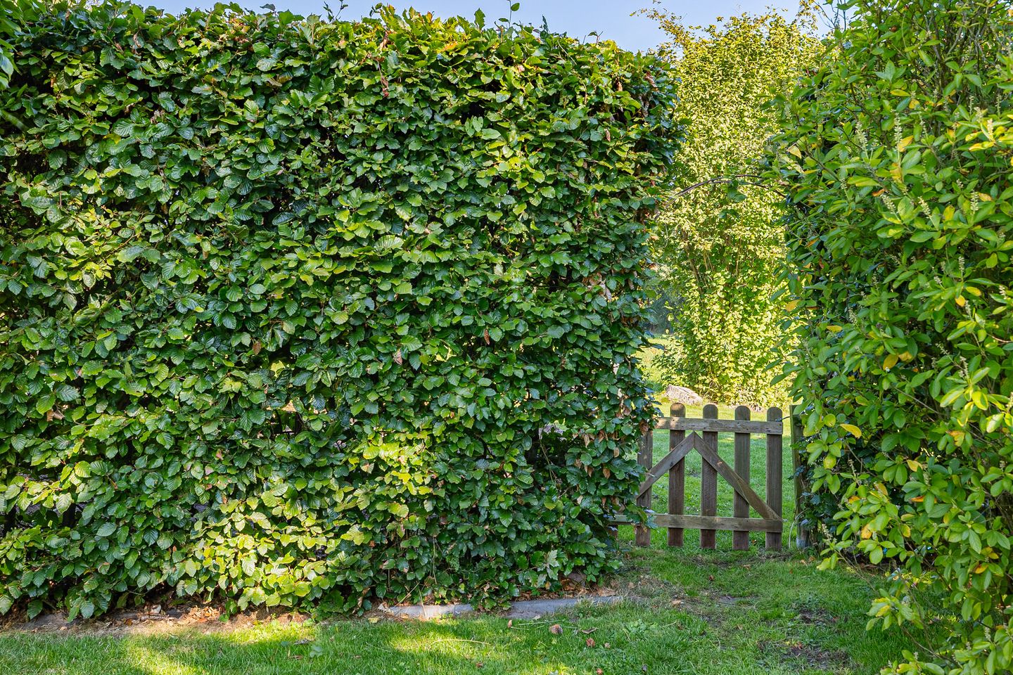 Foto 49 van Steigerwijk 35