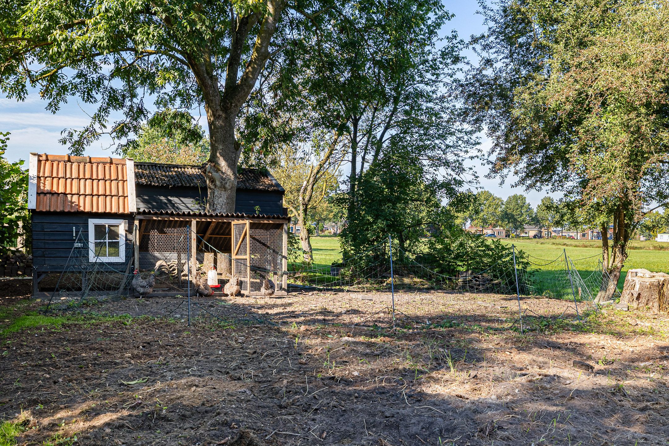 Foto 51 van Steigerwijk 35