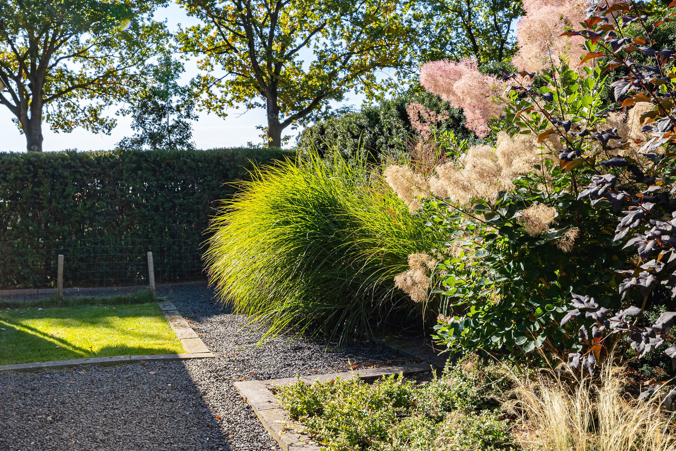 Foto 54 van Steigerwijk 35