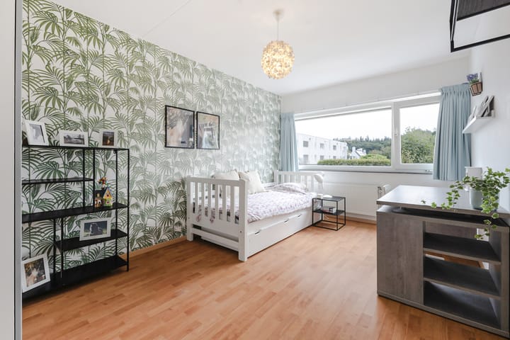 Photo 25 of Kleine Haan 43