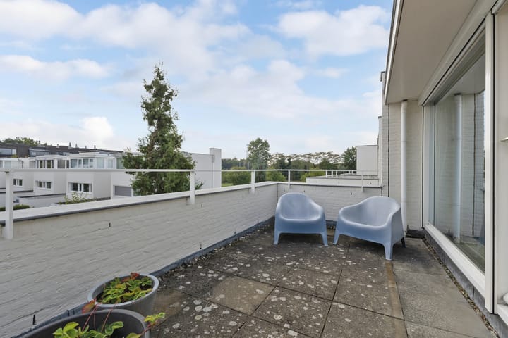 Photo 34 of Kleine Haan 43