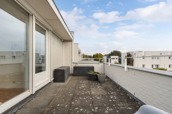 Photo 35 of Kleine Haan 43