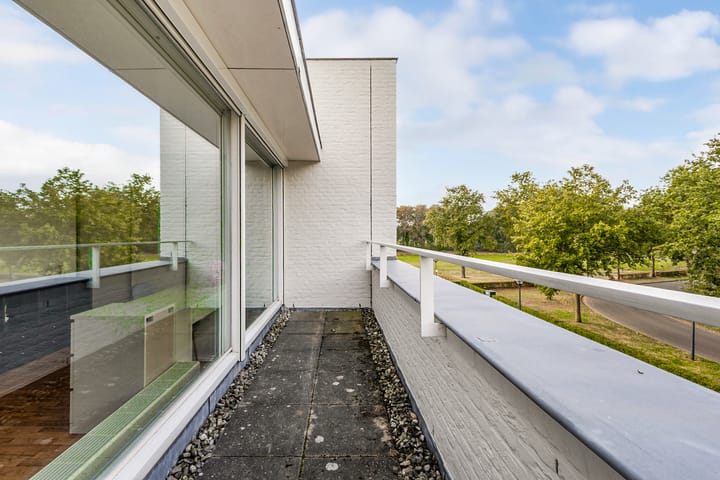 Photo 39 of Kleine Haan 43