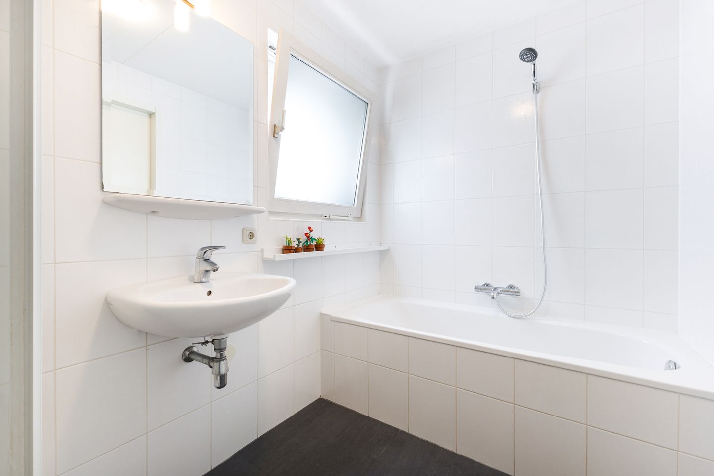 Foto 40 van Kleine Haan 43