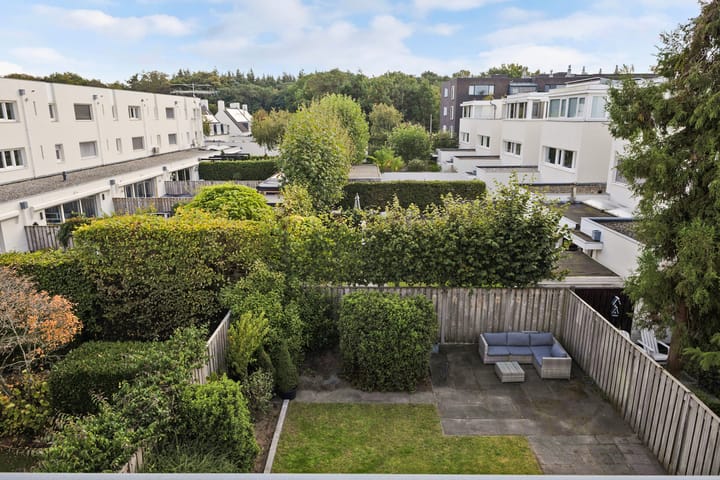 Photo 42 of Kleine Haan 43