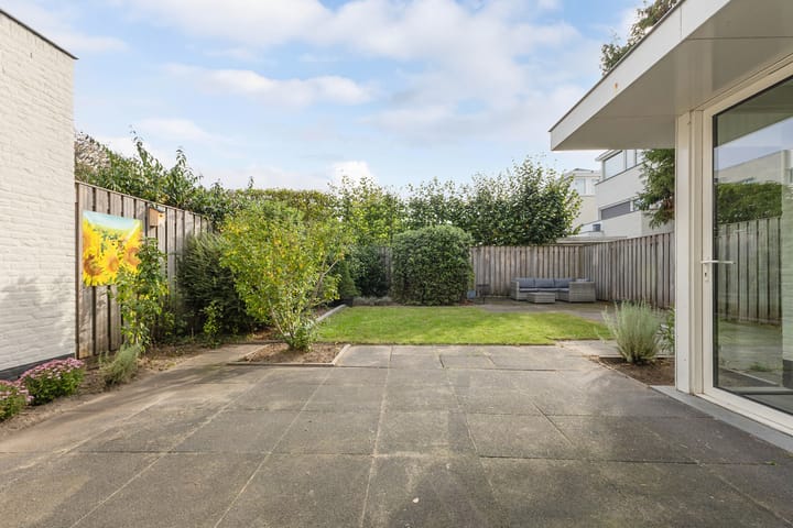 Photo 44 of Kleine Haan 43