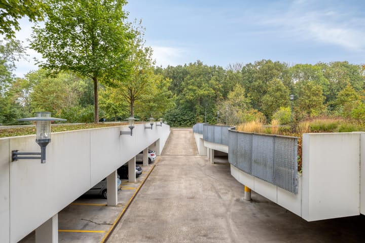 Foto 31 van Elvis Presleylaan 11