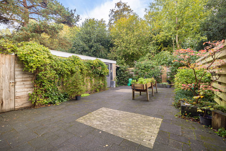 Foto 2 van Eendenkooi 28