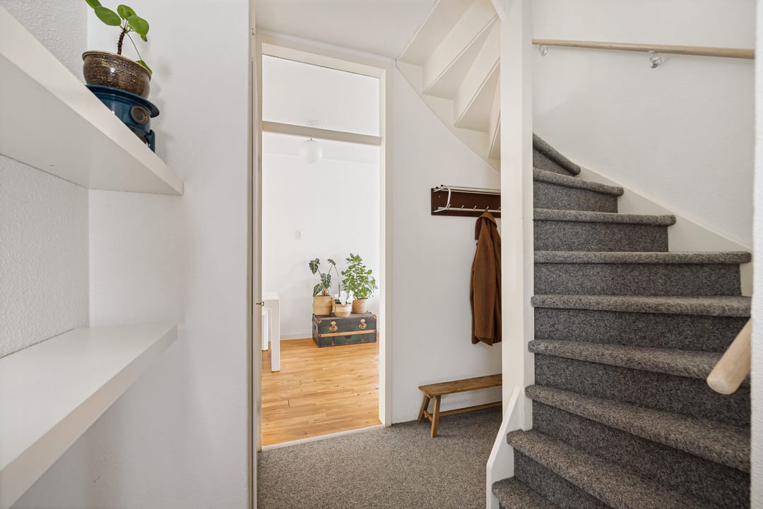 Foto 7 van Eendenkooi 28