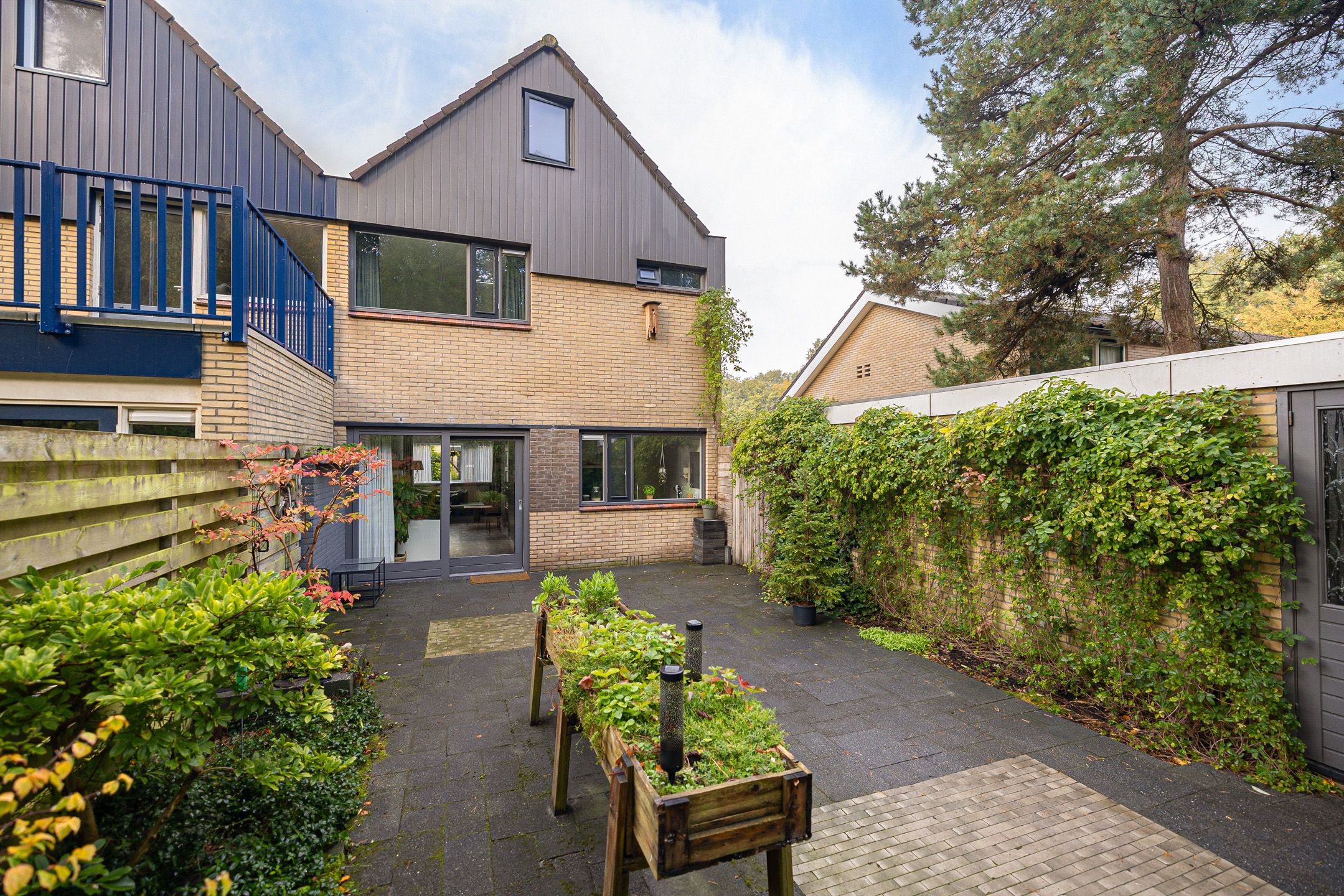 Foto 33 van Eendenkooi 28