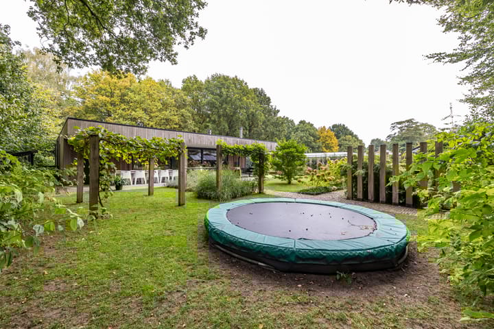 Foto 46 van Julianalaan 100