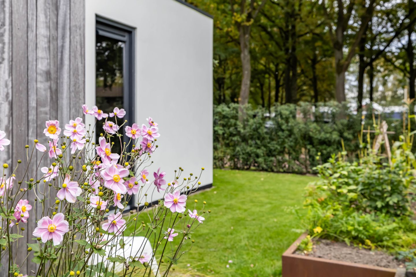 Foto 59 van Julianalaan 100