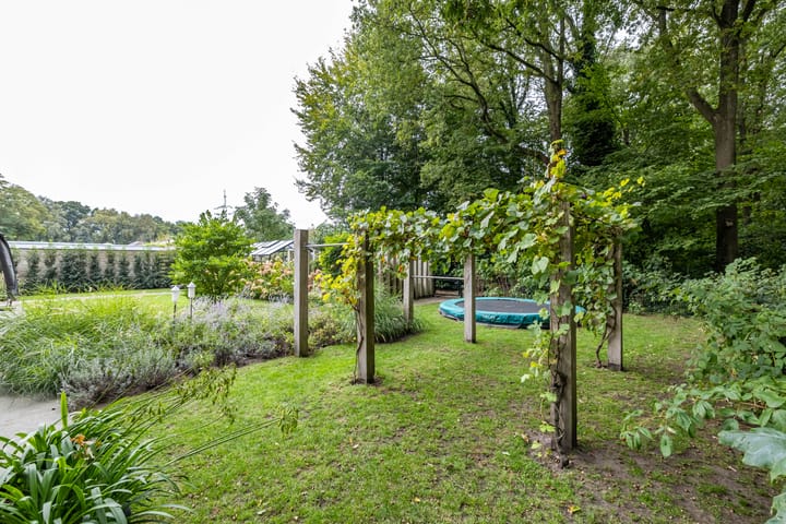 Foto 61 van Julianalaan 100