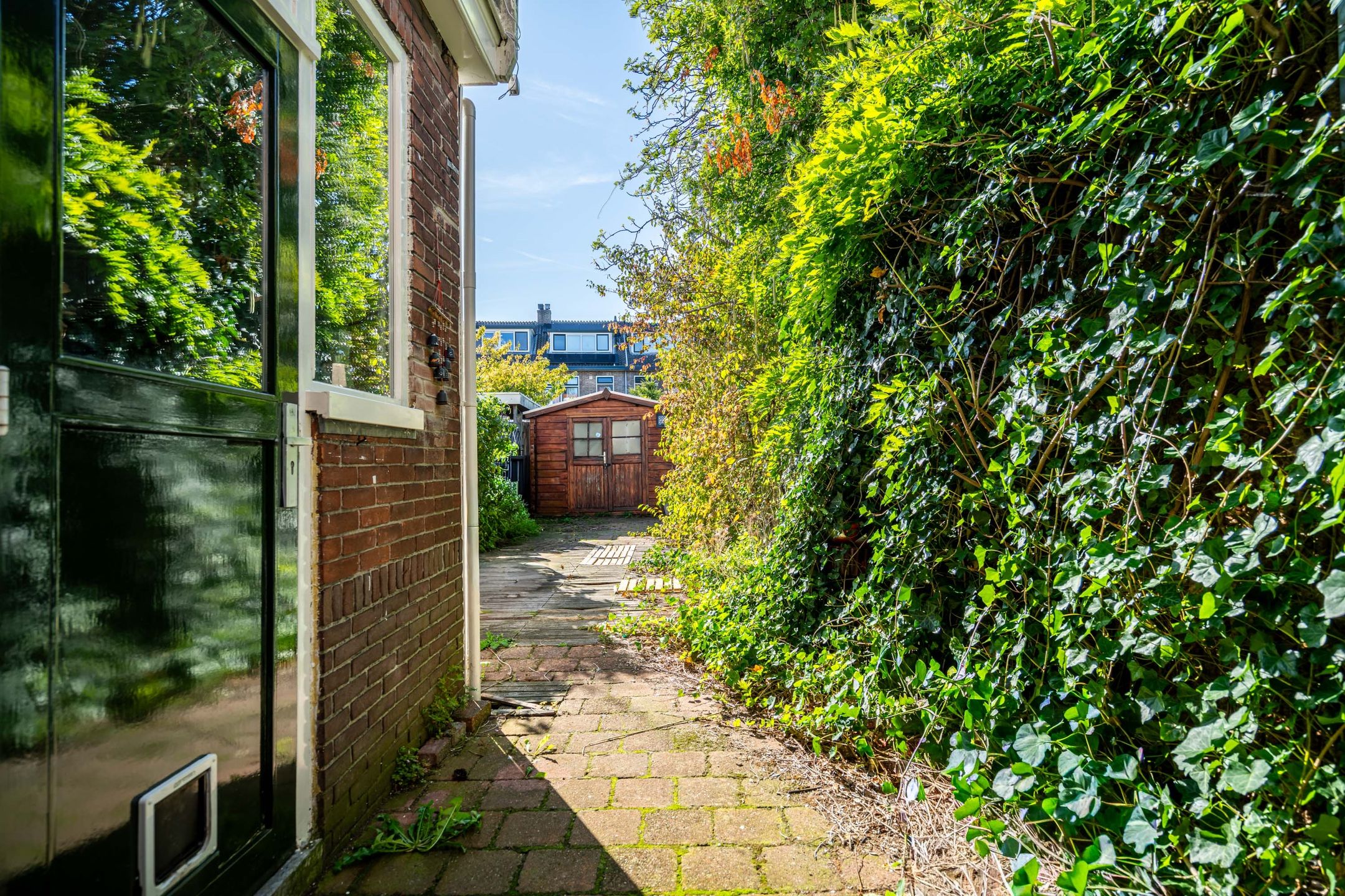 Foto 9 van Coornhertstraat 6